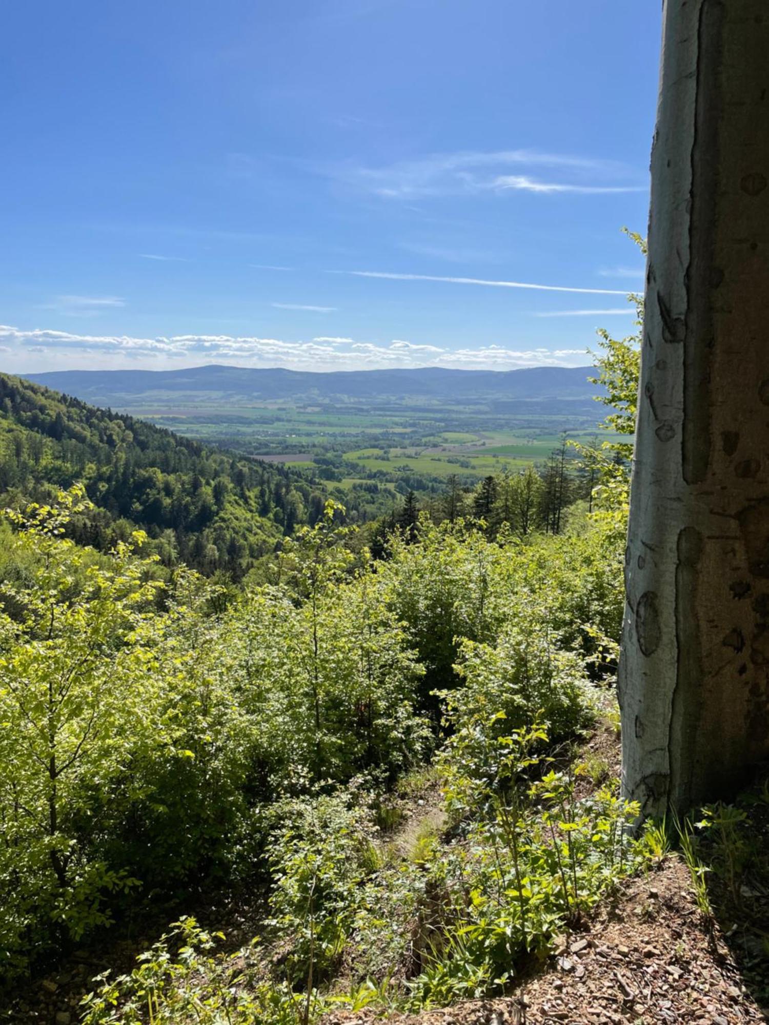 Swierkowy Zakatek Idzikow エクステリア 写真